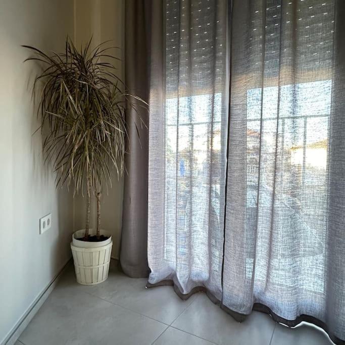 Bonito Loft En El Centro De Matalascañas